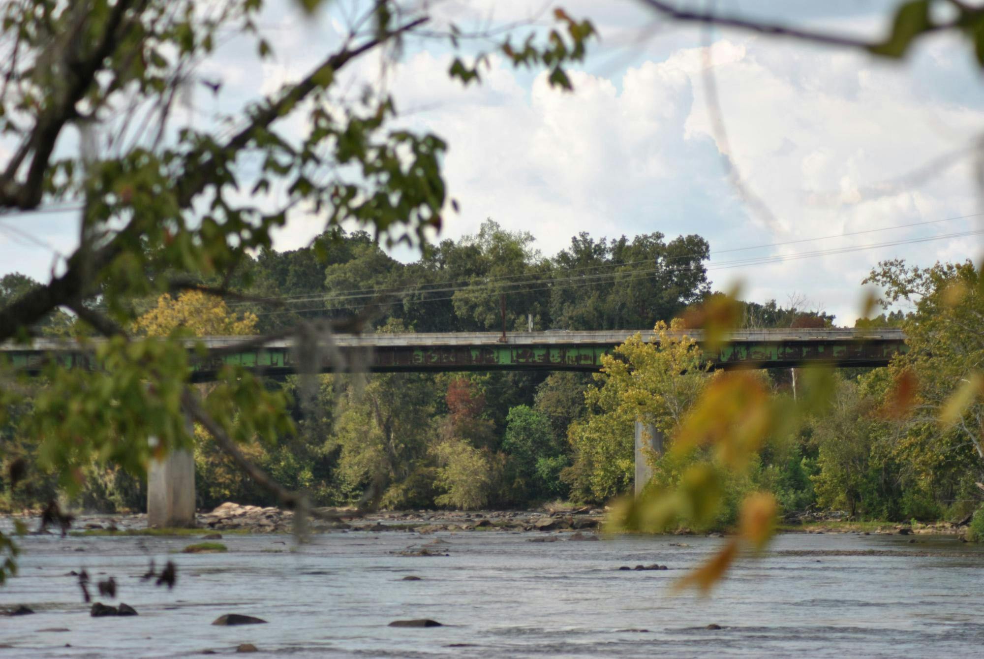 Congaree National Park celebrates 50 years of conservation stewardship ...