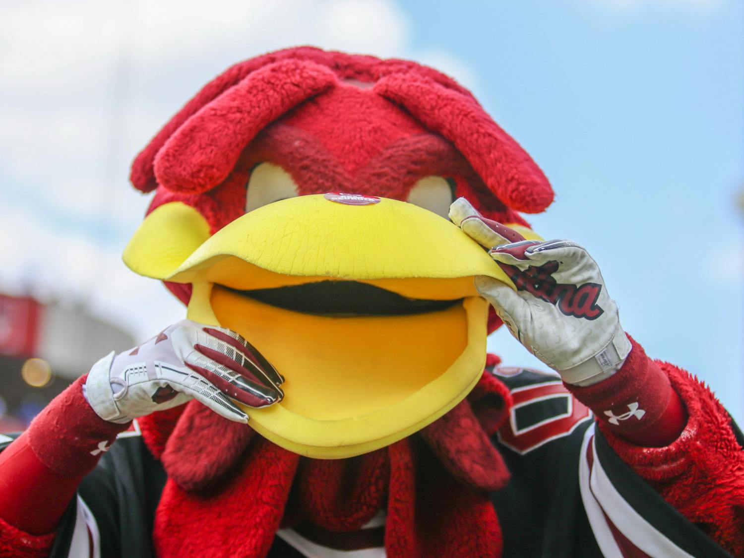 Cocky doing his iconic call on the sidelines of Williams-Brice Stadium. Although the Gamecocks lost to the Georgia Bulldogs on Sept. 17, 2022, Cocky kept the crowd going with moves like this. 