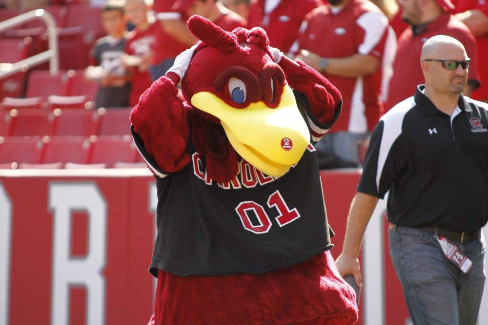 	Very few people know Cocky’s true identity until the students wear the suit’s gloves and feet when they walk across the stage at graduation. 