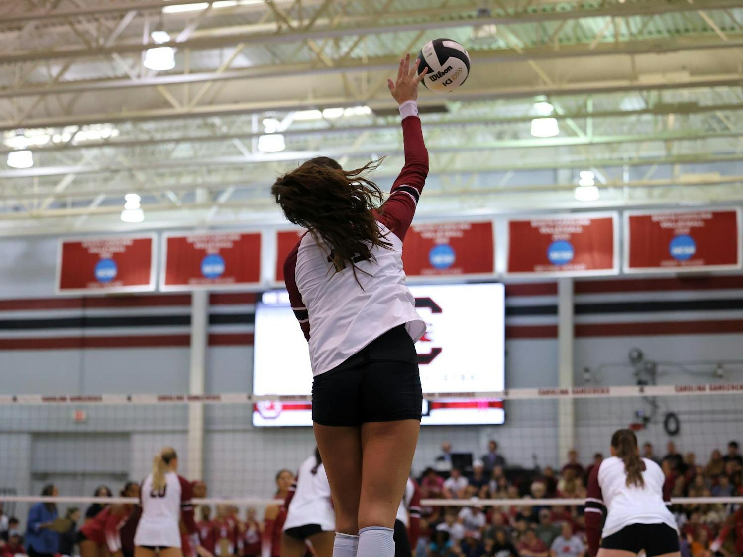 Junior outside hitter Alayna Johnson serves the ball during South Carolina’s home opener against Temple on Sept. 6, 2024. The Gamecocks defeated the Owls 3-0.