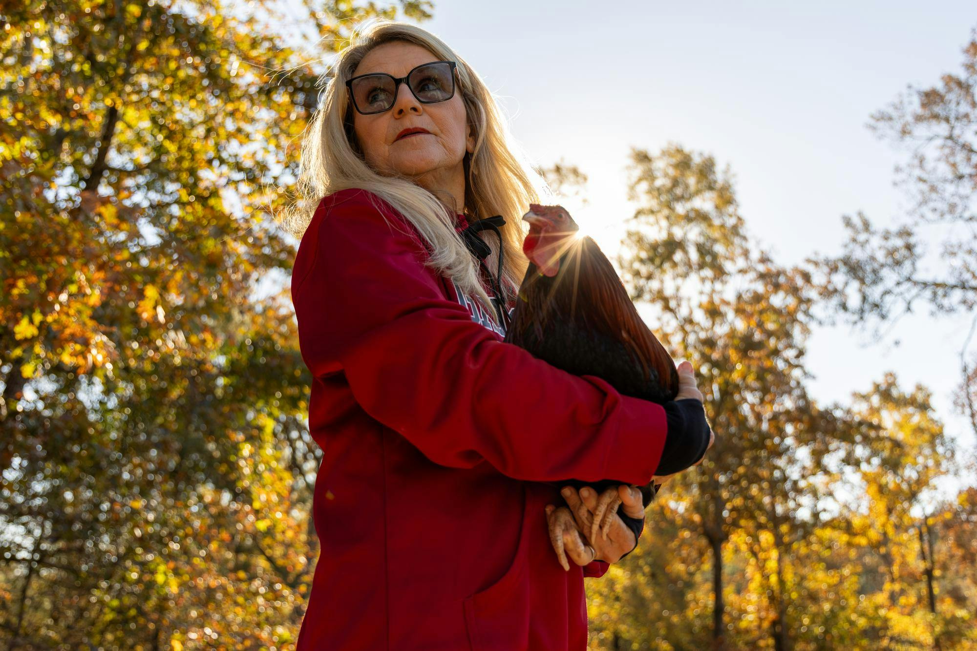 From the cats of C.S. Lewis and the squirrels on the Horseshoe to the regal presence of Sir Big Spur, here's a look at all the animal companions tied to the University of South Carolina.