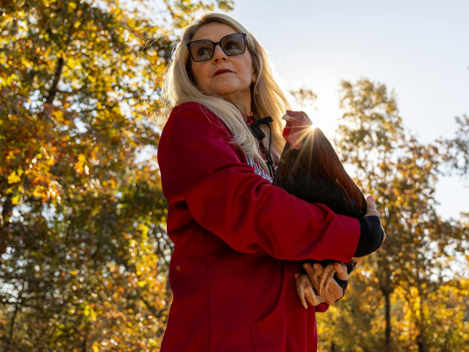 From the cats of C.S. Lewis and the squirrels on the Horseshoe to the regal presence of Sir Big Spur, here's a look at all the animal companions tied to the University of South Carolina.