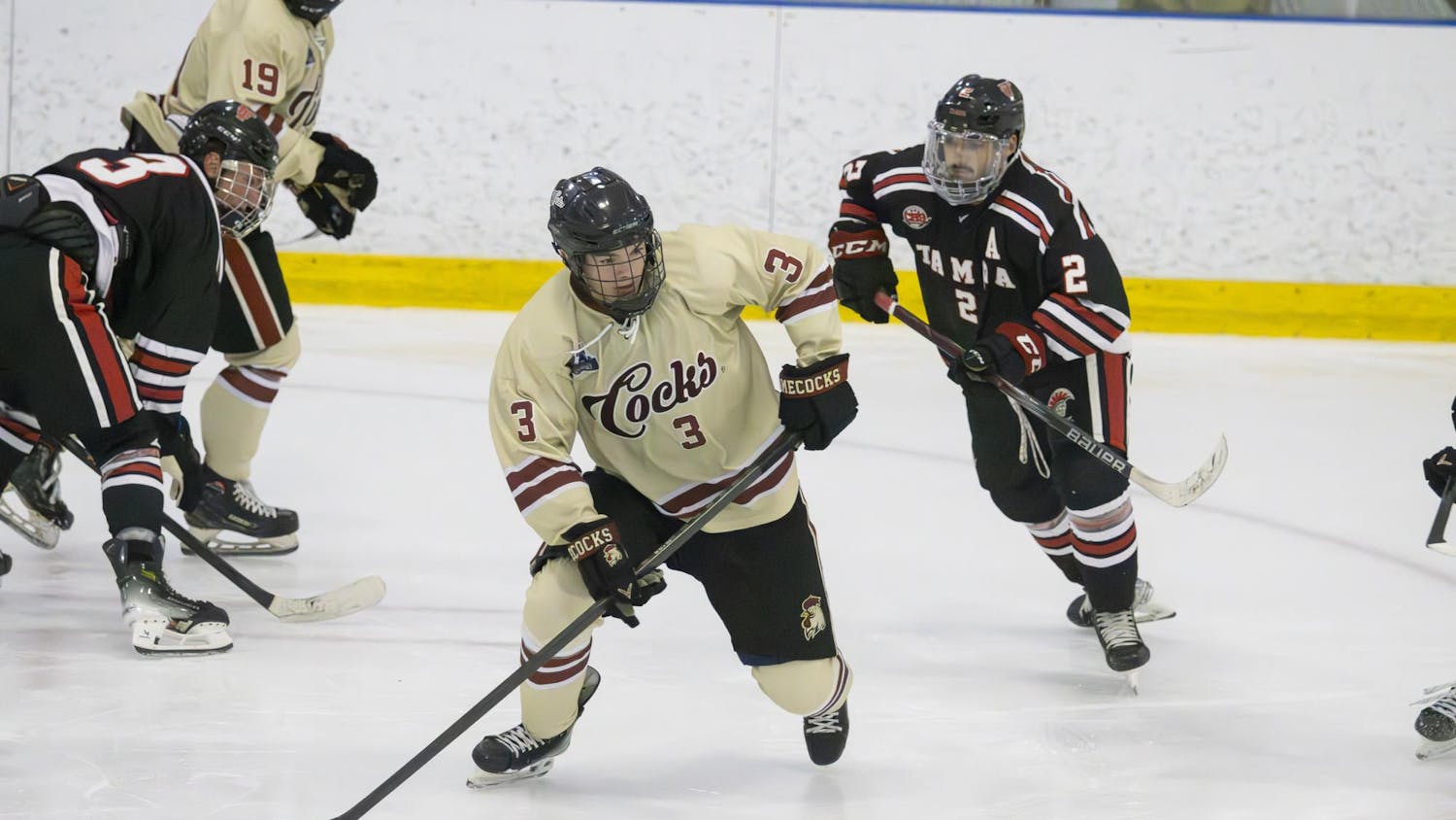 FILE — Junior defensemen Brendan Flaherty skates with the puck during South Carolina club hockey's game against Tampa on Nov. 3, 2024. The Gamecocks tied the Spartans after the game finished in one overtime period.
