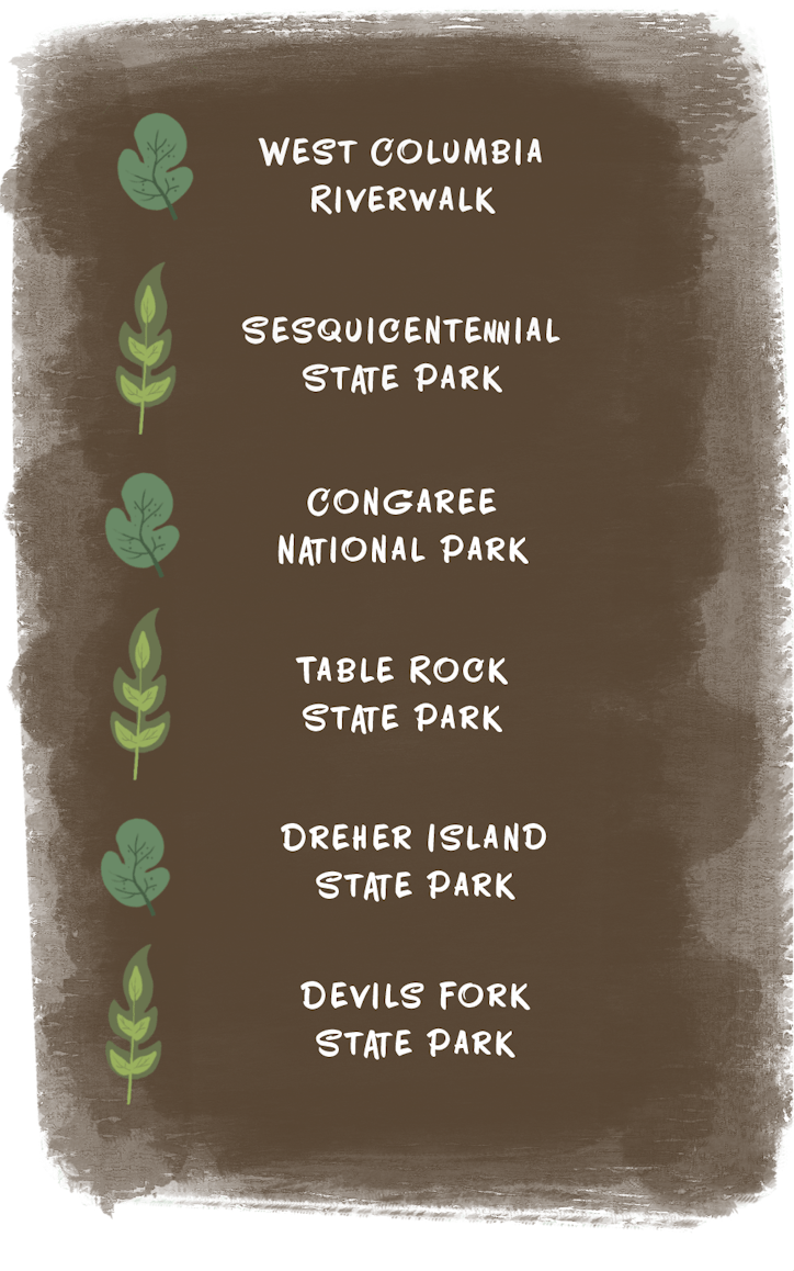 A graphic of the list of good hiking spots in the Columbia Area. This includes West Columbia River Walk, Sesquicentennial State Park, Congaree National Park, Table Rock State Park, Dreher Island State Park and Devils Fork State Park. 