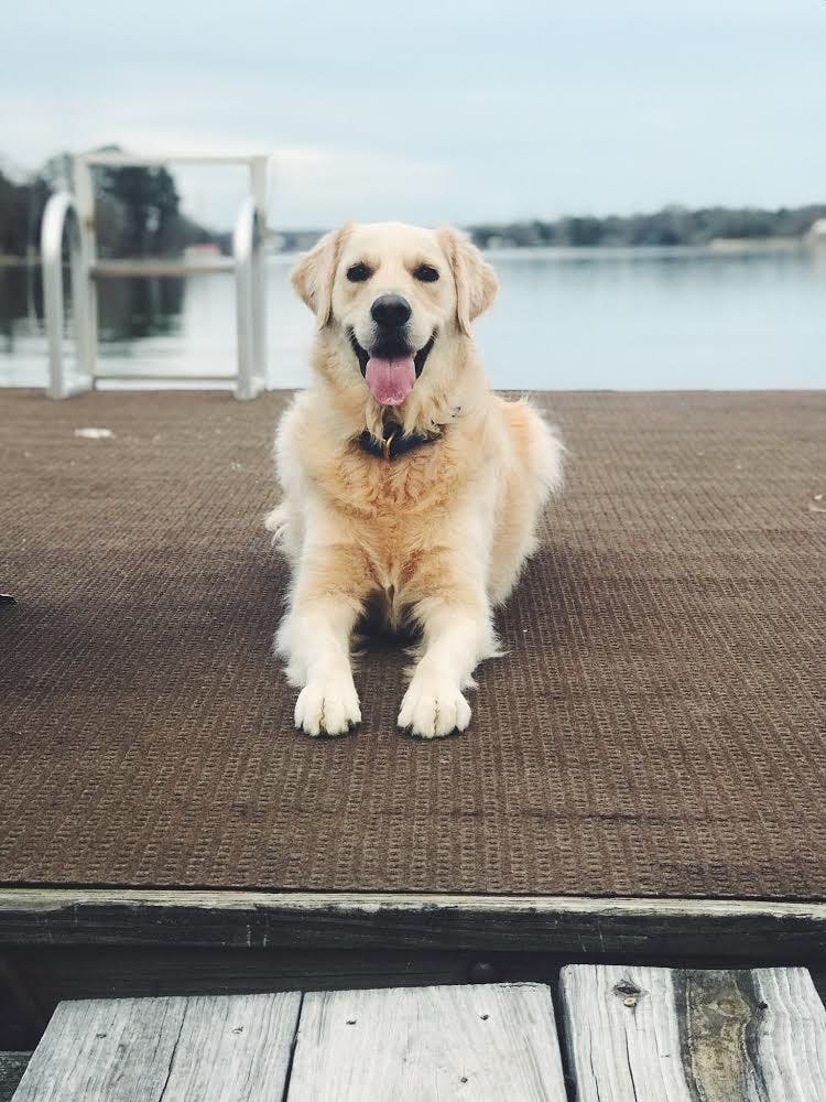 Miller is from Rock Hill, South Carolina.