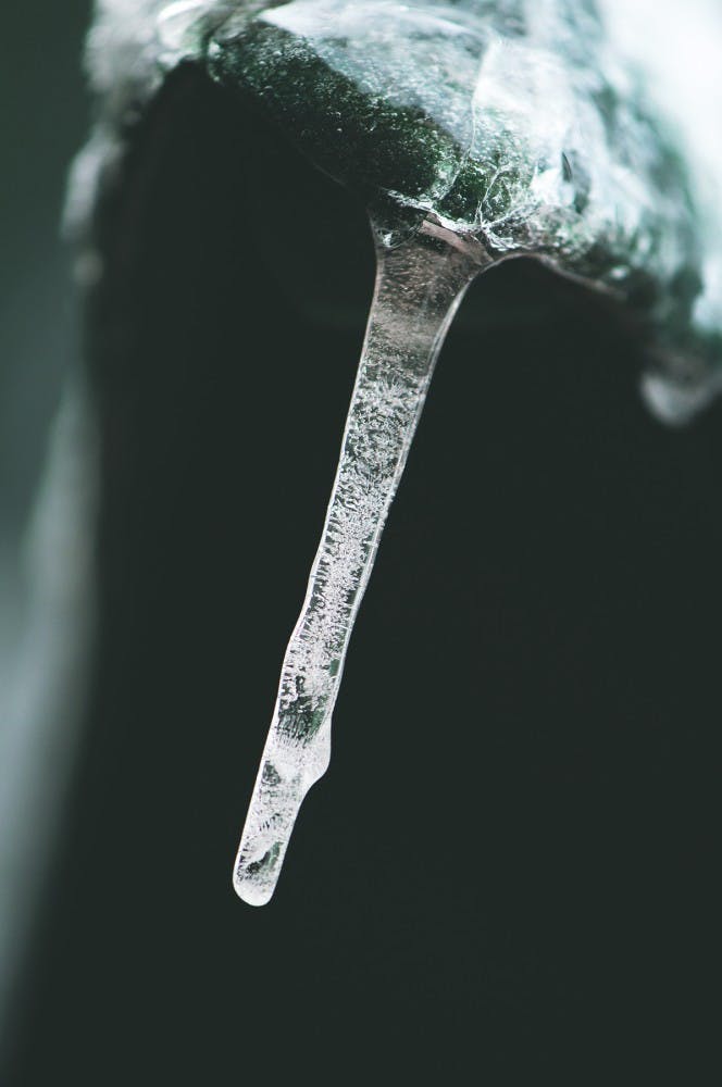 	USC cancelled classes Wednesday due to inclement weather.