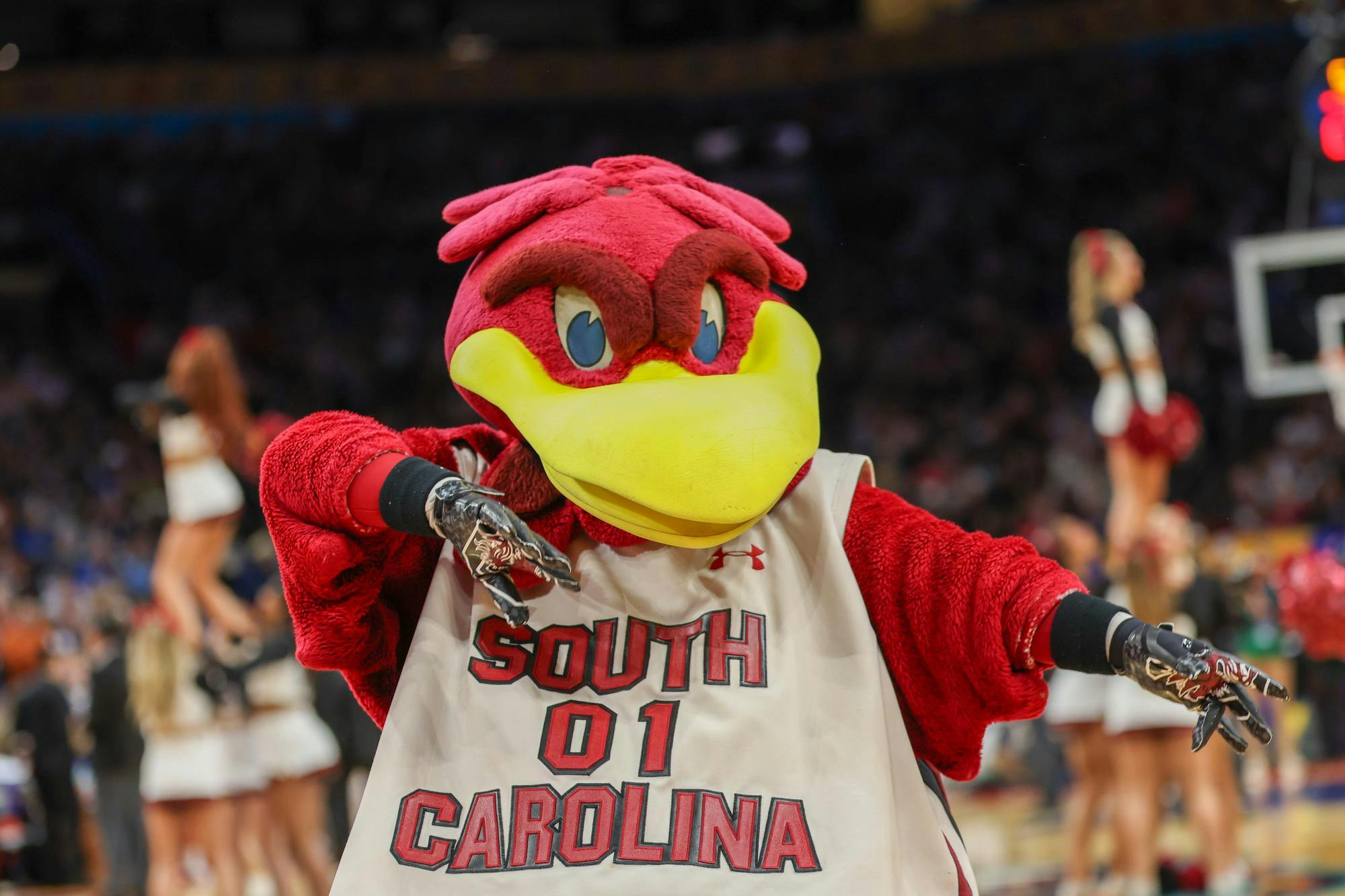 South Carolina mascot Cocky hypes up the band during the semifinal game against UConn on April 3, 2026. The Gamecocks went on to defeat the Huskies 62-48.