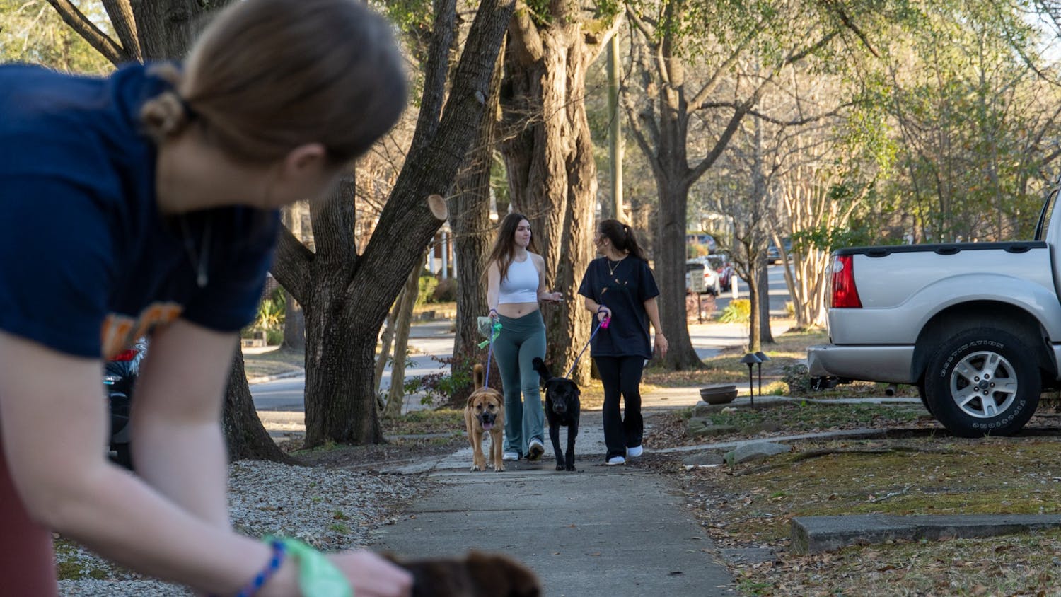 Members of the Give a Dog A Bone club walk dogs down Sumter St. on Feb 18, 2022. Final Victory Animal Shelter welcomes club members and community volunteers to walk and shelter the dogs in their care.
