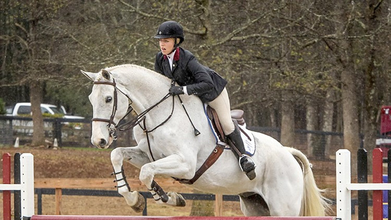 South Carolina's Samantha Kraus competes on Perfekt during the Equitation Over Fences competition against Texas A&M in Blythewood, S.C., Friday, March 28, 2014. (Tim Dominick/The State/MCT)