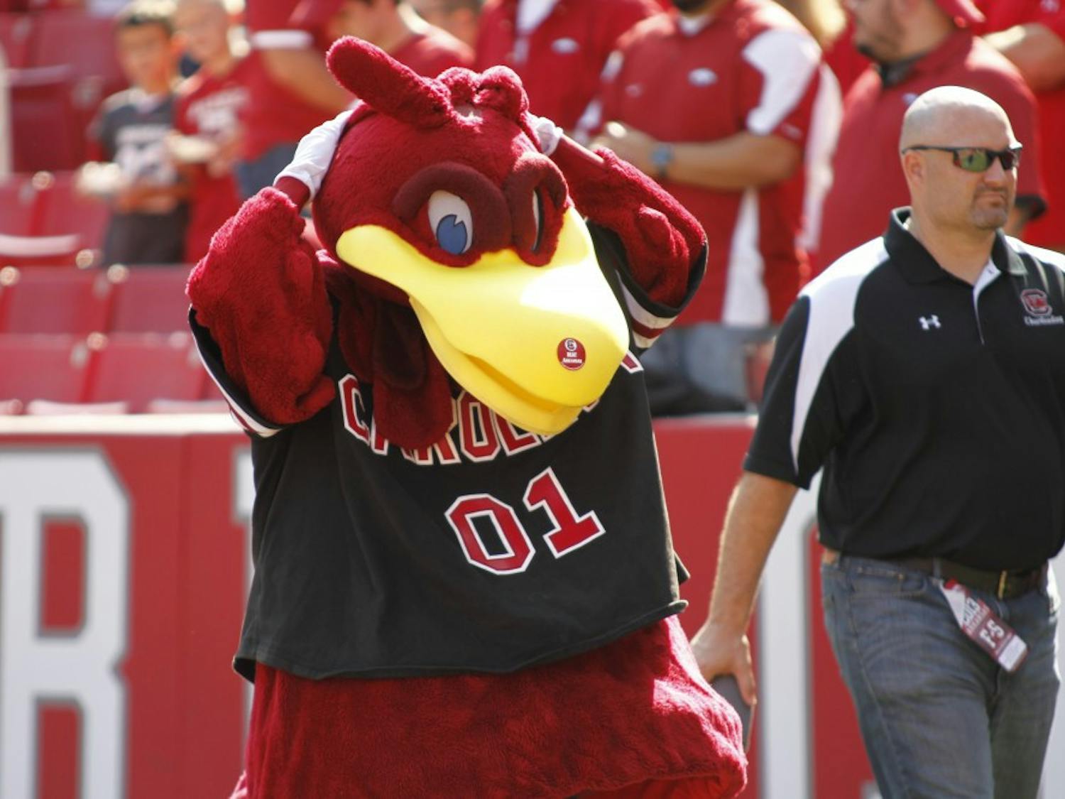 Cocky on the field of Williams-Brice Stadium in 2013. While the Carolina community knows Cocky well, very few people know his true identity until the students wear the suit’s gloves and feet when they walk across the stage at graduation.