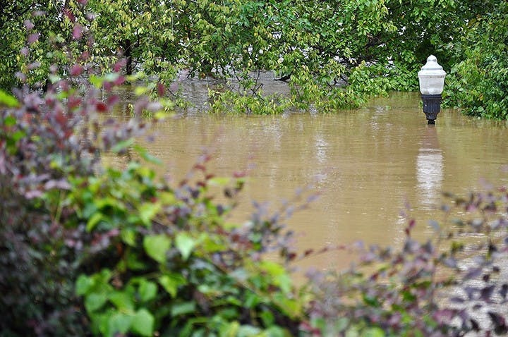 Congaree River Walk at 3 p.m. Sunday