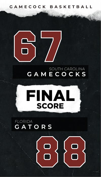 florida gators.png