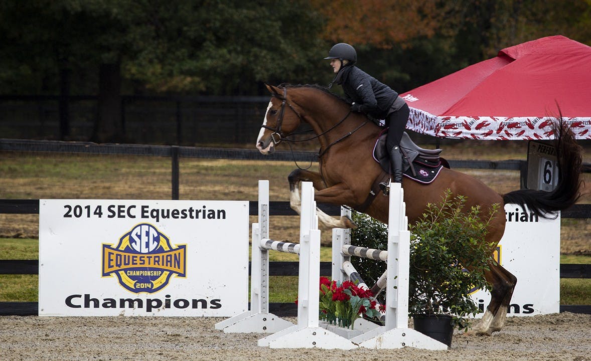 South Carolina sophomore Jordan Allen warming up on Tattoo for the fences event.