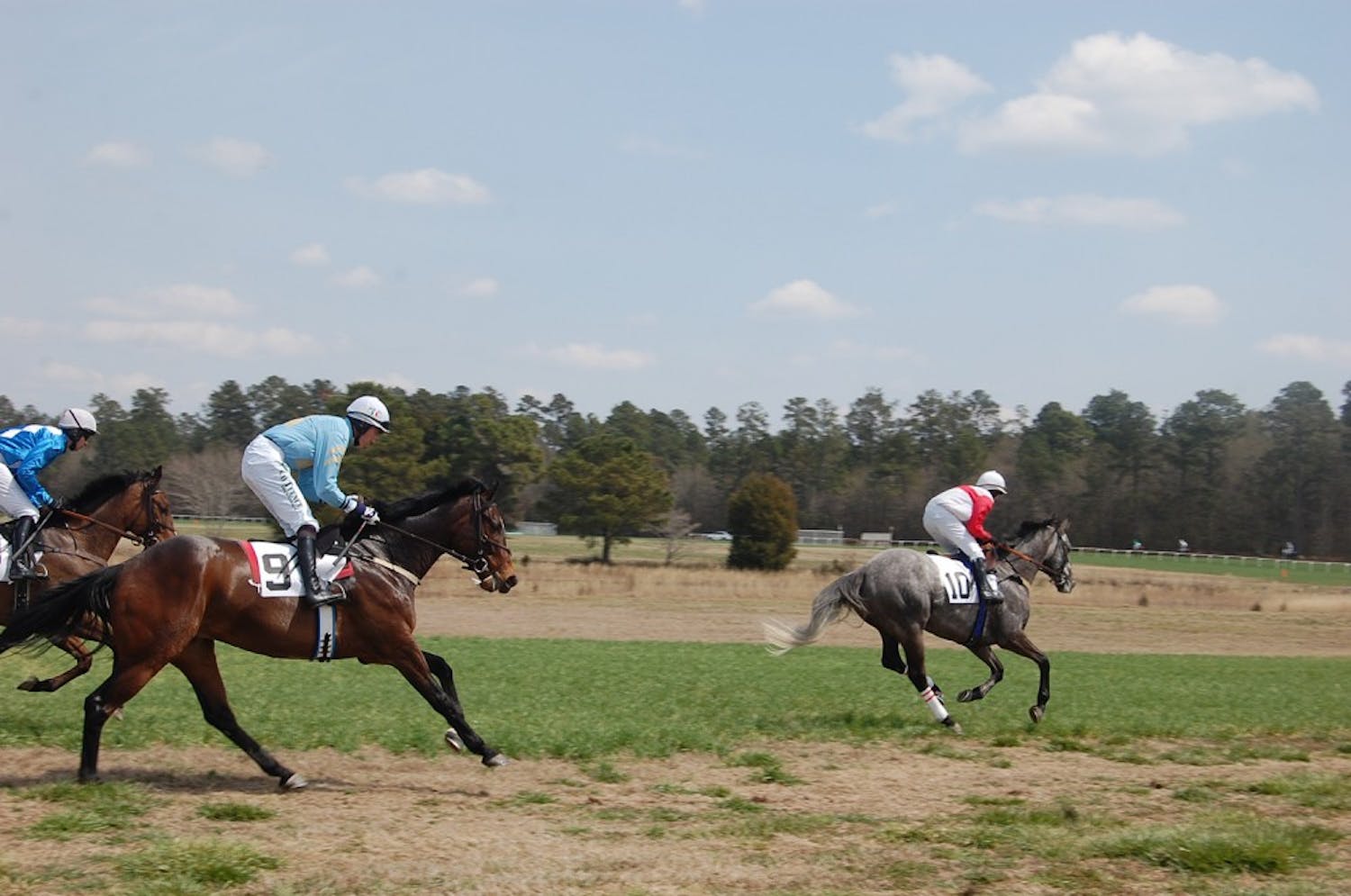 	Six horse races took place at Carolina Cup in Camden Saturday. Ross Geraghty rode Alajmal, a 5-year-old gelding, to win the eponymous 2 1/8 mile race.