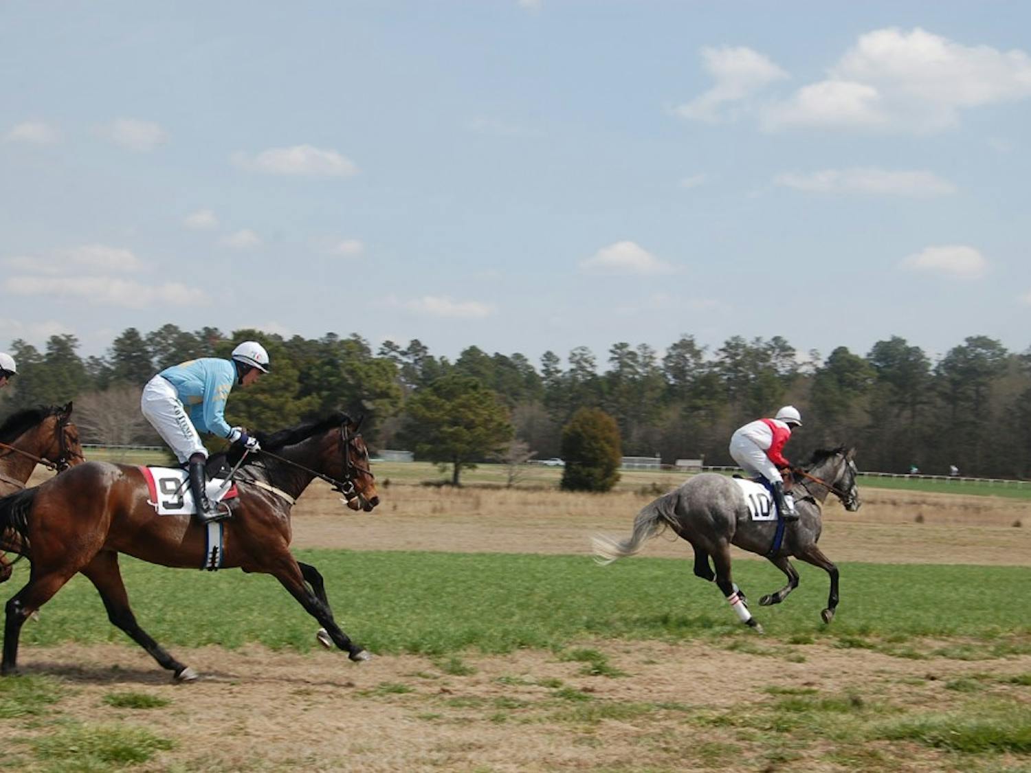 	Six horse races took place at Carolina Cup in Camden Saturday. Ross Geraghty rode Alajmal, a 5-year-old gelding, to win the eponymous 2 1/8 mile race.