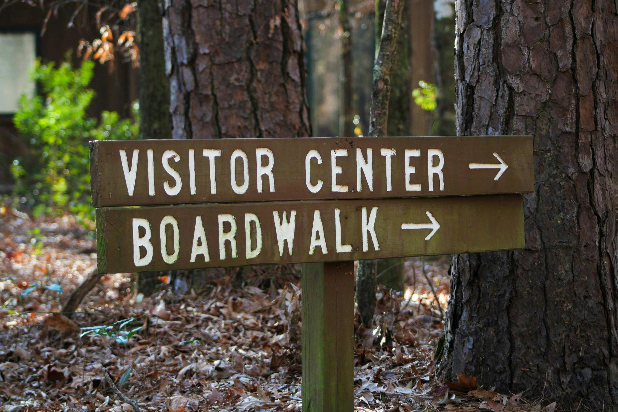 A sign found at the entrance of the Congaree National Park in Hopkins, South Carolina, on Jan. 22, 2026. The marked paths are part of several hiking spots in the region that offer accessible routes for residents looking to explore the outdoors.