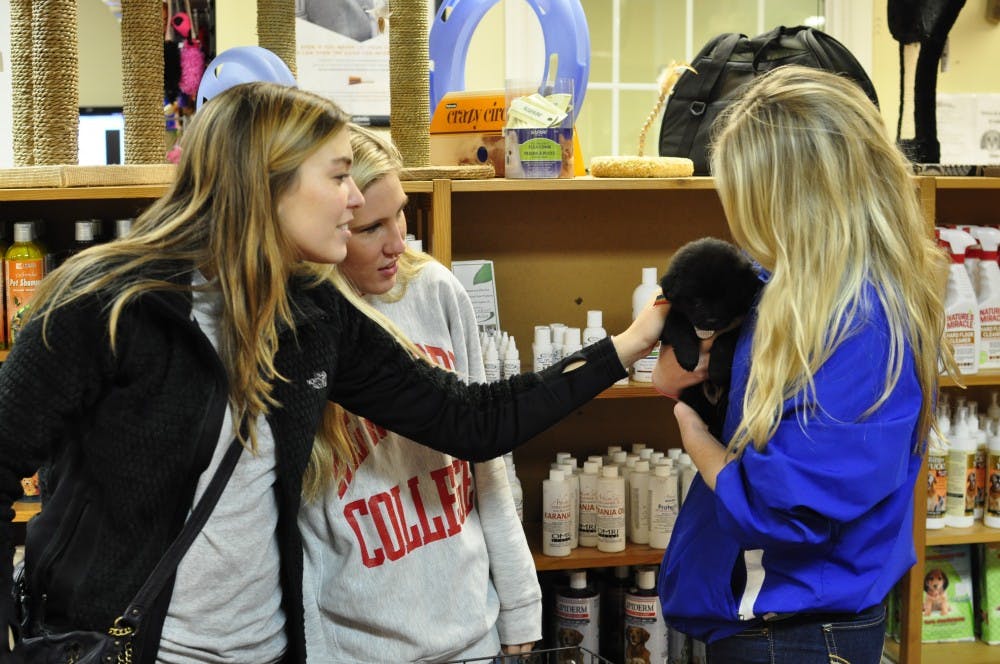 	Each animal that comes through the door at Pets Inc. costs the shelter at least $150.