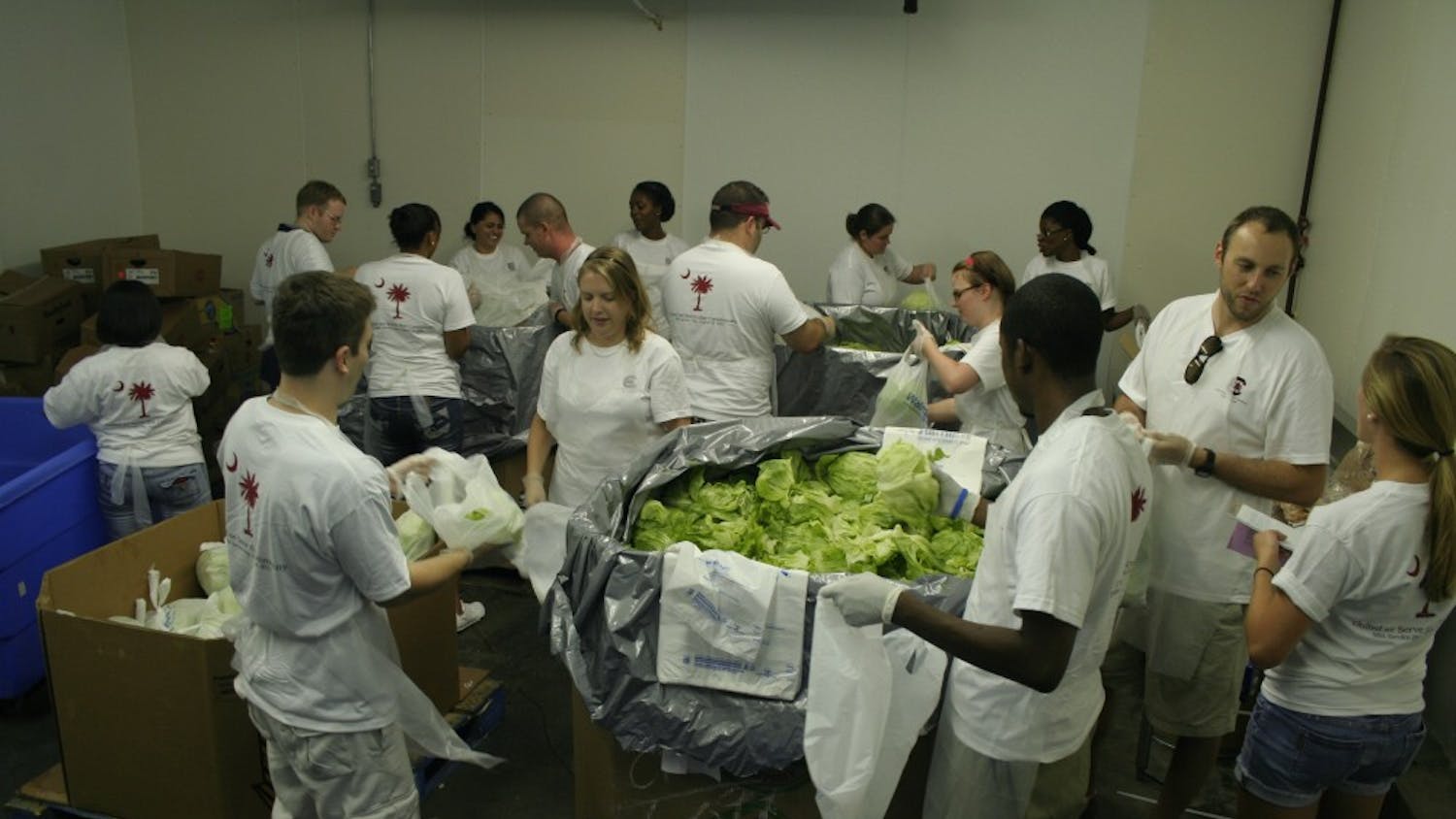 Students from USC School of Law help sort lettuce at Harvest Hope Food Bank during a service day