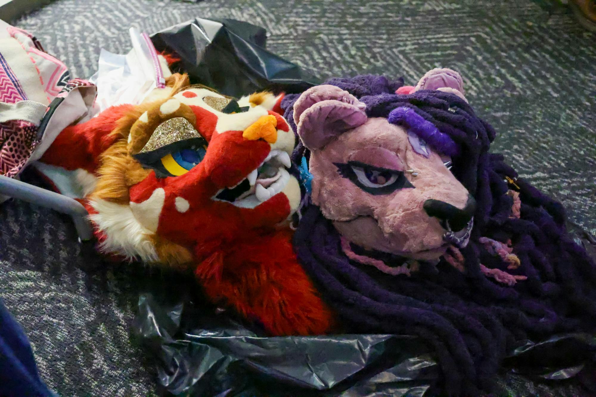 Beyond the fursuit: Furs and Spurs settles in at USC - The Daily Gamecock