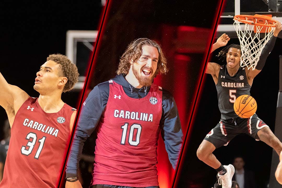 Incoming Transfer Players Bring Experience, Leadership To Gamecock Men ...