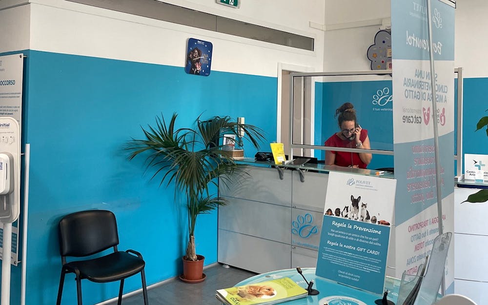 <p>The interior of Polivet, a veterinary clinic in Rome, Italy. This July, the Doctors in Italy Fellowship Program invited three USC students to travel to Rome, Italy to work in a veterinary clinic and an animal sanctuary.</p>