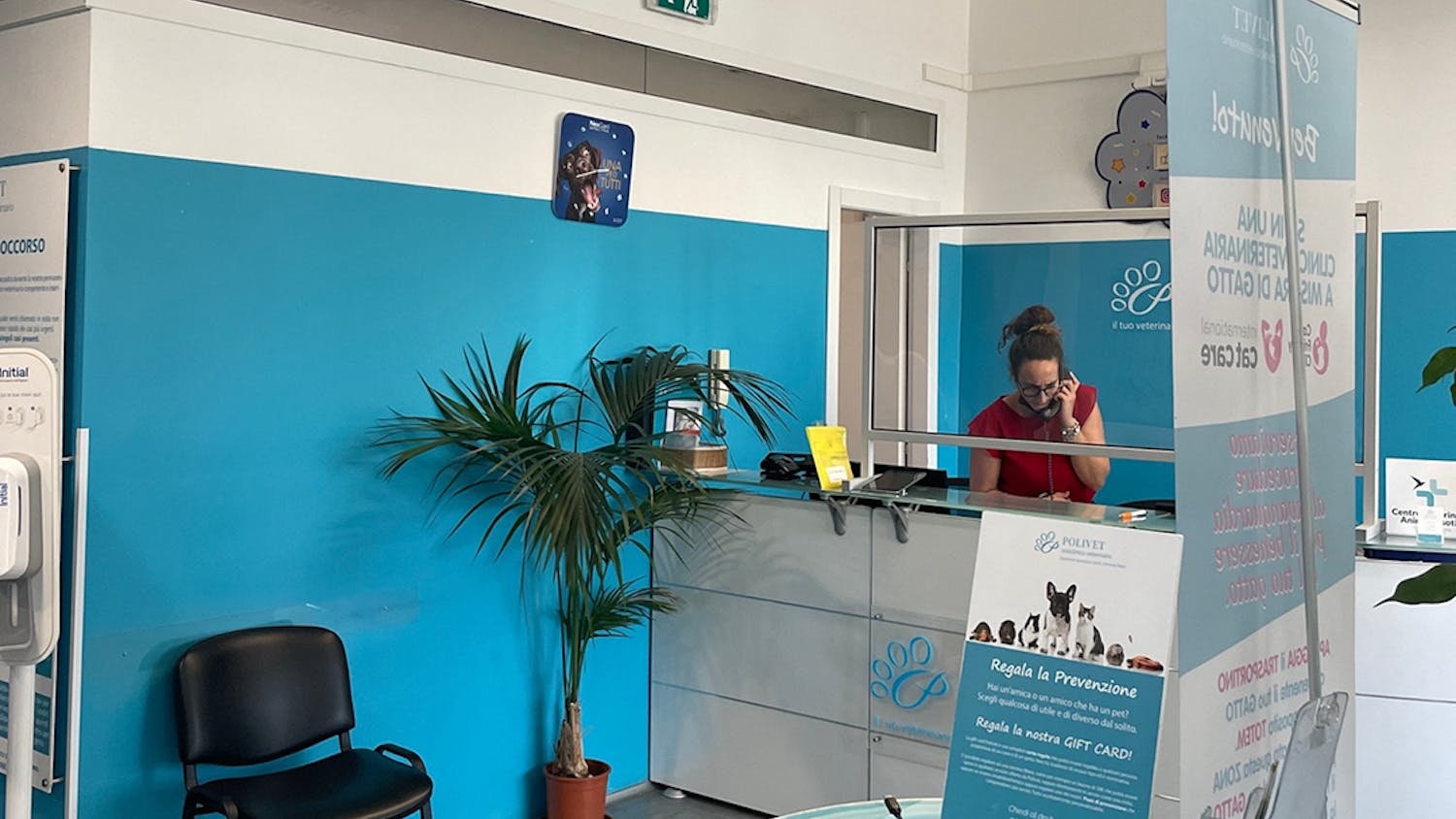 The interior of Polivet, a veterinary clinic in Rome, Italy. This July, the Doctors in Italy Fellowship Program invited three USC students to travel to Rome, Italy to work in a veterinary clinic and an animal sanctuary.