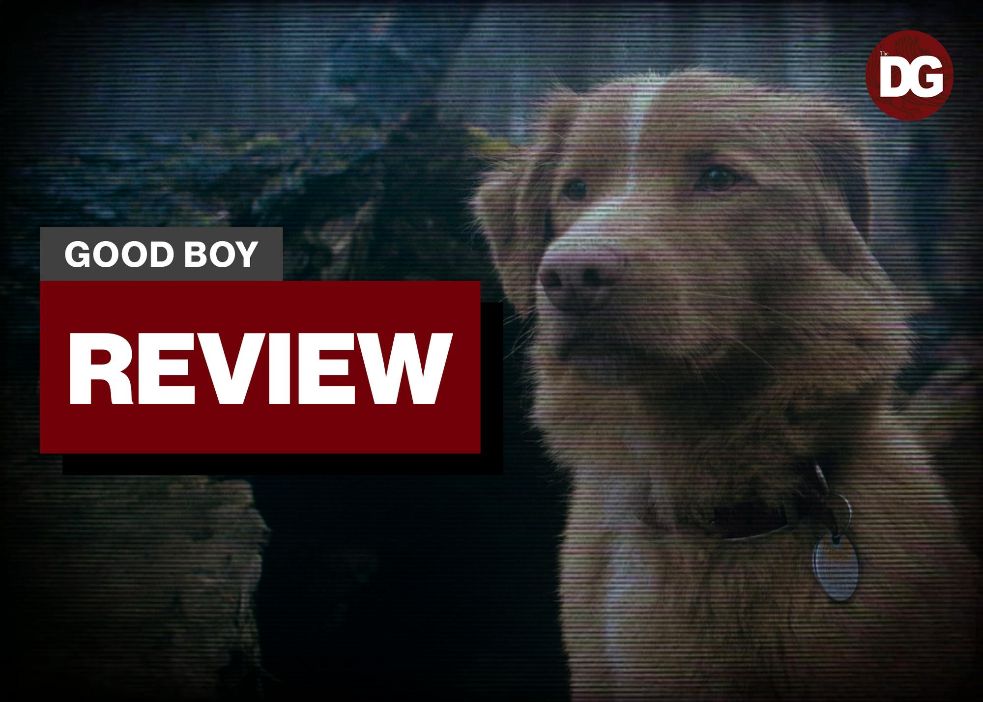 A photographic featuring a dog from the movie "Good Boy." The movie was released on Oct. 3, 2025.