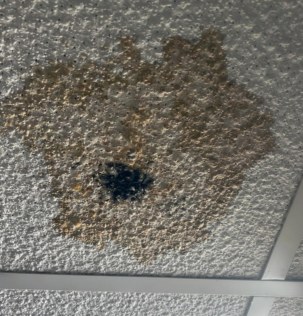 <p>Black colored mold on the ceiling of a hallway in Capstone House in January 2021. Over 130 mold-related maintenance requests have been submitted for Capstone rooms since August 2020.</p>