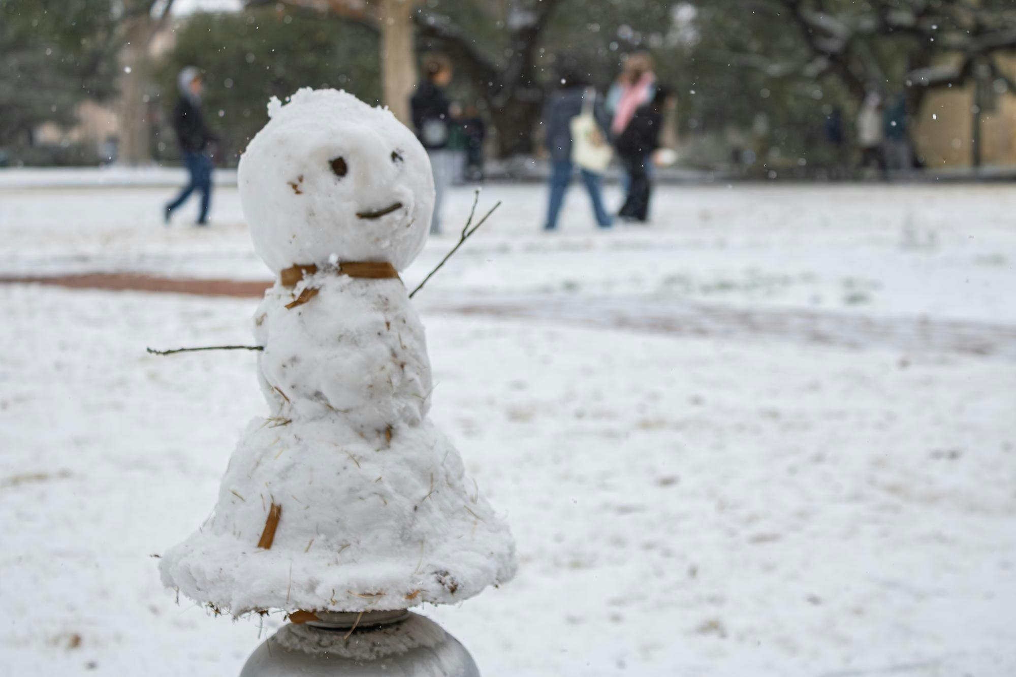 As a historic snowstorm pummeled the Midlands, USC students took the opportunity to enjoy the rare snow. From sledding to snowball fights, students turned the campus into a winter playground.