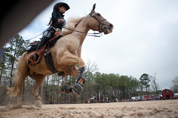 The South Carolina Equestrian team competes in the SEC championships against Georgia at One Wood Farm in Blythewood, S.C., Saturday, March 29, 2014. (C Michael Bergen/The State/MCT)