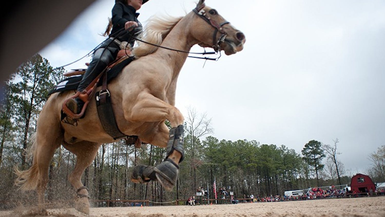 The South Carolina Equestrian team competes in the SEC championships against Georgia at One Wood Farm in Blythewood, S.C., Saturday, March 29, 2014. (C Michael Bergen/The State/MCT)