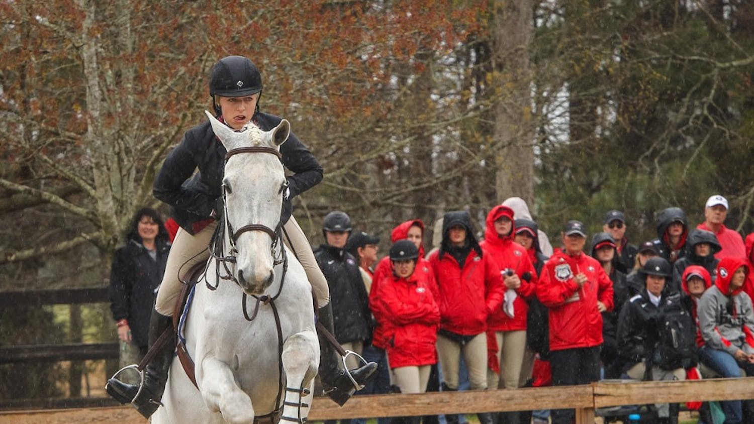 South Carolina's Samantha Kraus competes on Perfekt during the Equitation Over Fences competition against Texas A&M in Blythewood, S.C., Friday, March 28, 2014. (Tim Dominick/The State/MCT)