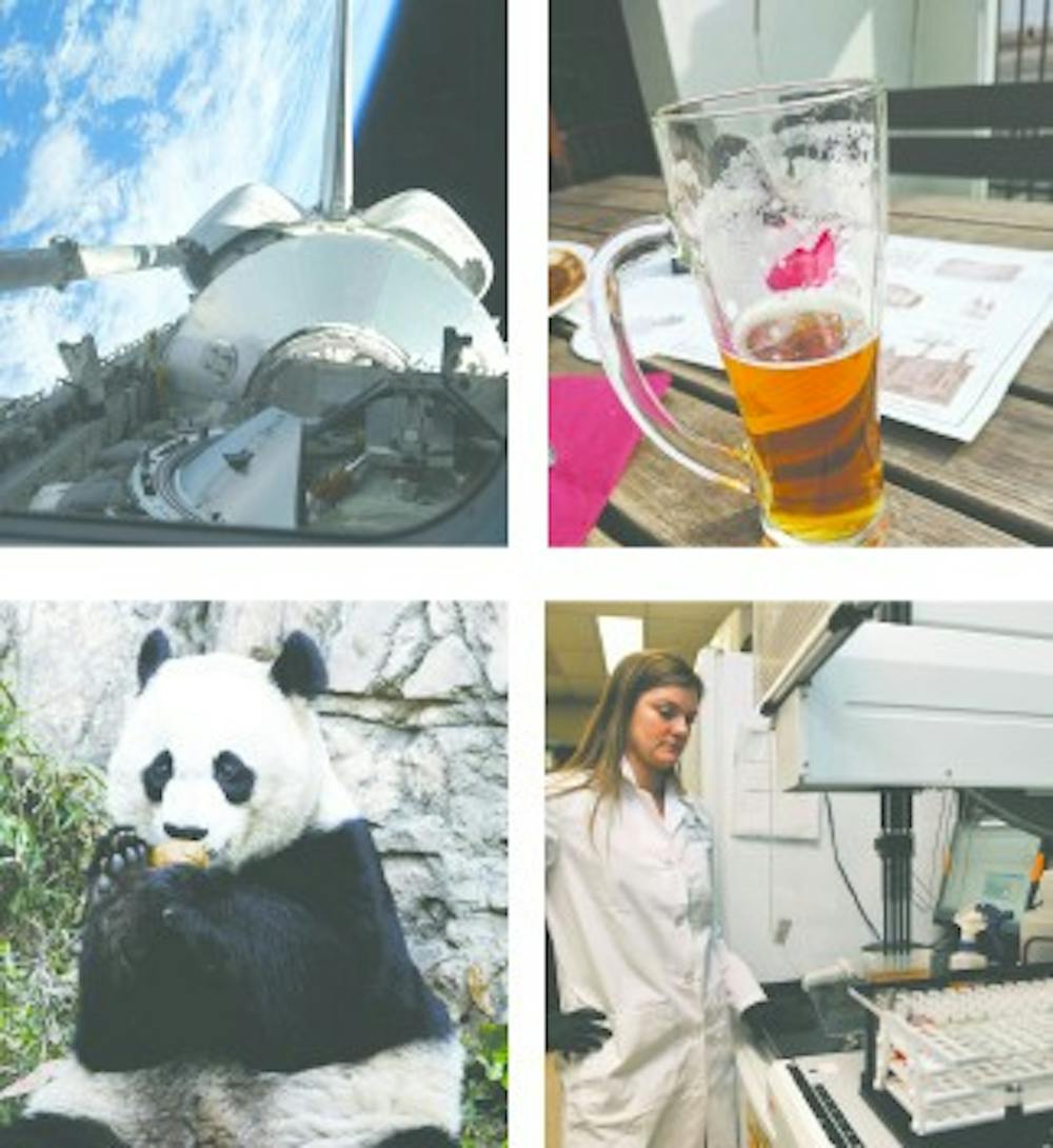 Panda,NASA,Beer,FED