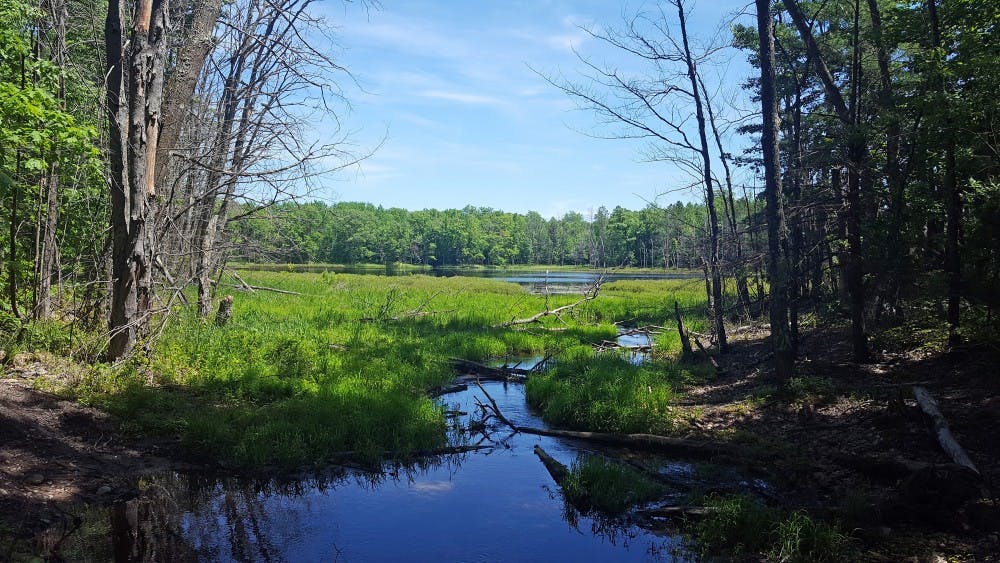 Small lakes line the Harrison Hills segment of the Ice Age Trail in Lincoln County. (Chelsey Lewis/Milwaukee Journal Sentinel/TNS) 