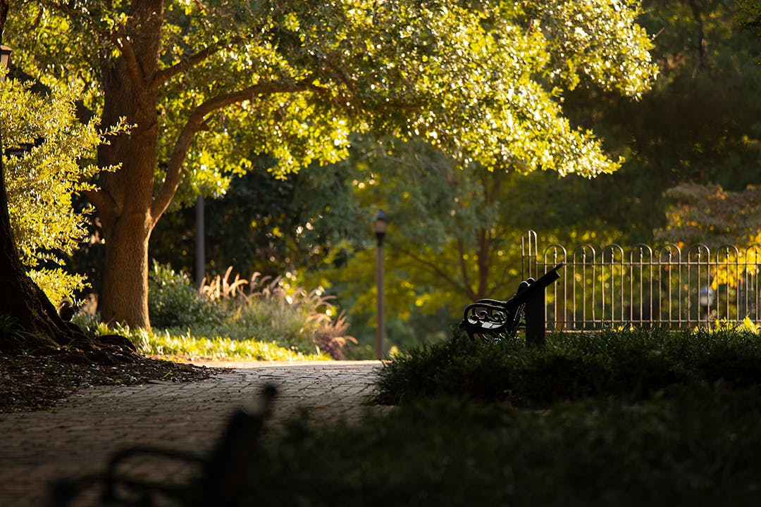 The Horseshoe in front of Rutledge College in the early sunrise hours of Fall.
