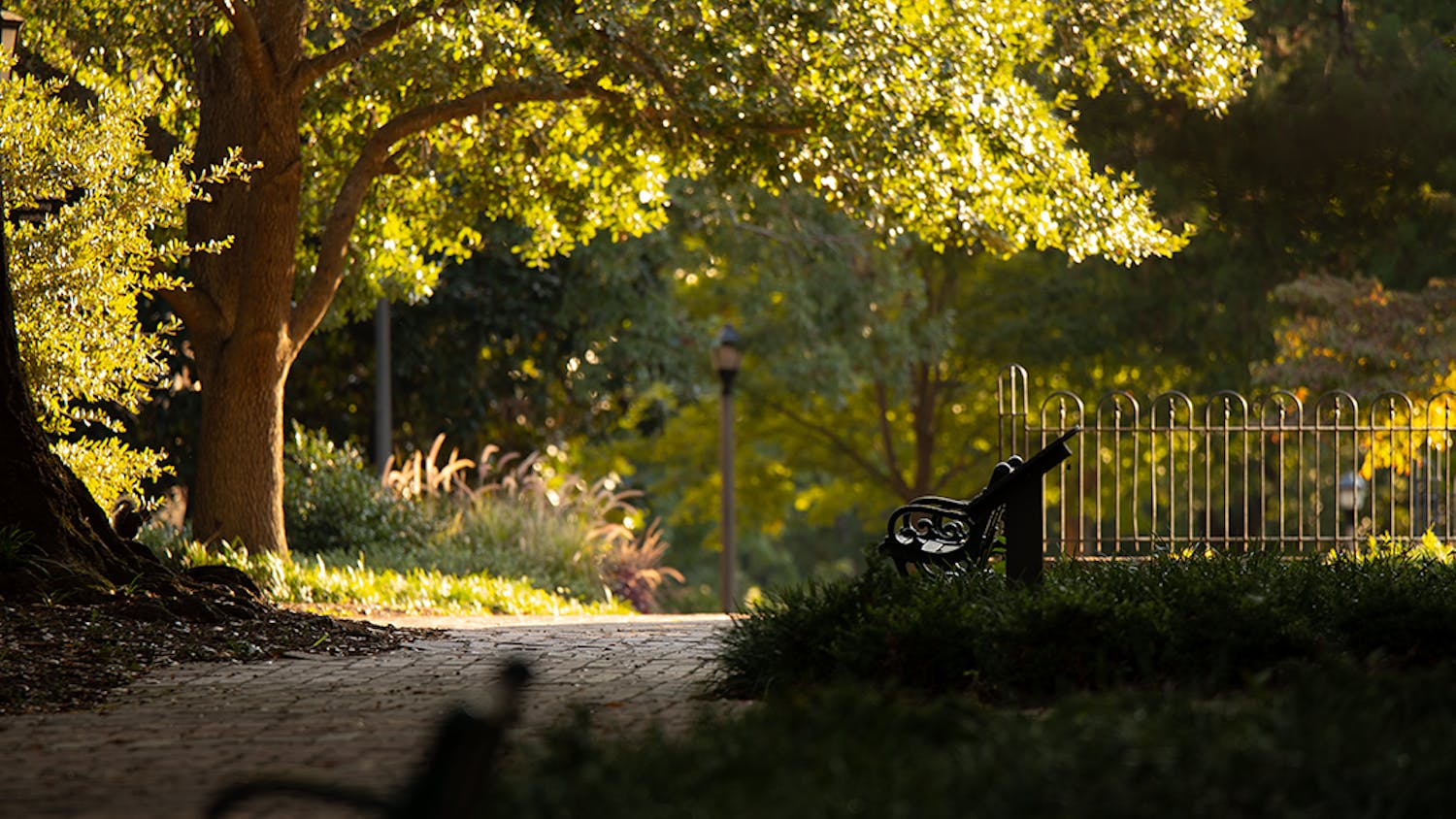 The Horseshoe in front of Rutledge College in the early sunrise hours of Fall.