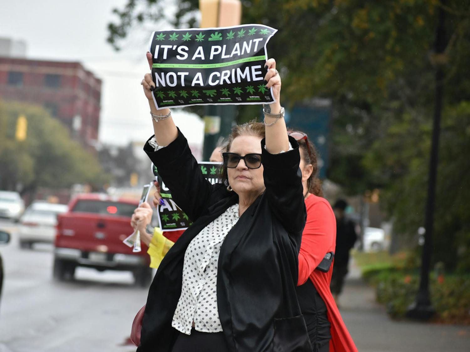 Cyndy Keiper raises a sign along Gervais Street for passing cars to see. The protest at the South Carolina Statehouse included parody music to attract a crowd.