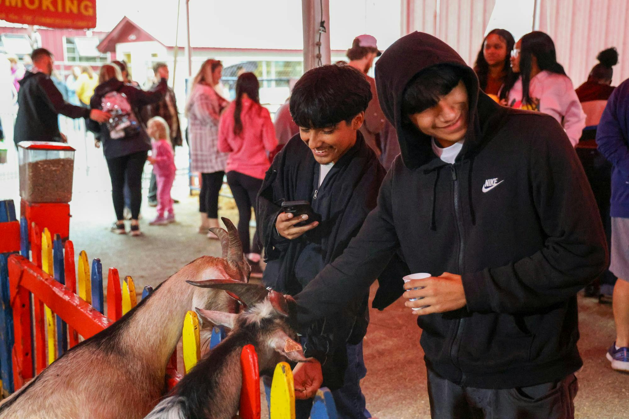 Two young men feed a duo of goats at the petting zoo at the South Carolina State Fair on Oct. 11, 2025. In addition to goats, there were also cows, llamas and camels present.