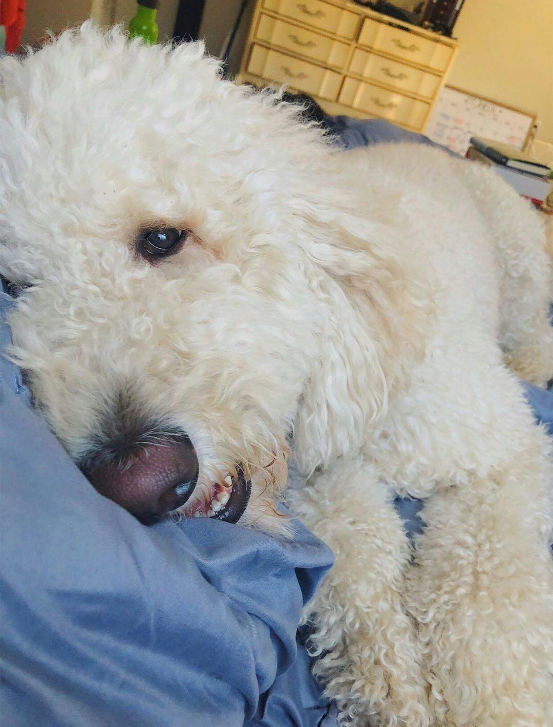 Sophie loves snuggling with her toys as if they're her babies.