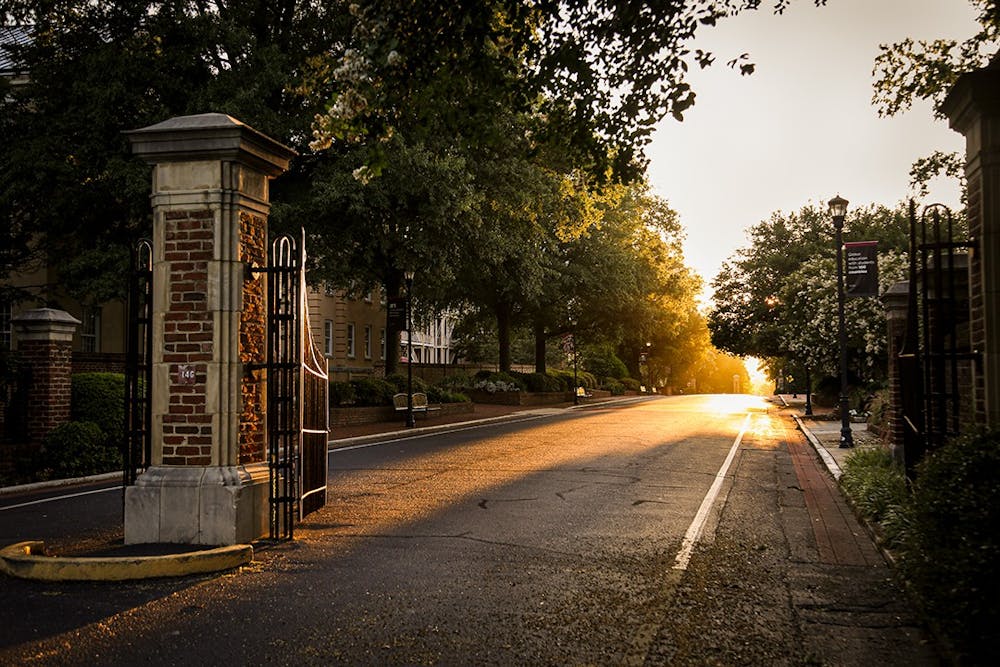 <p>Light streaming through the trees on Greene Street. &nbsp;</p>