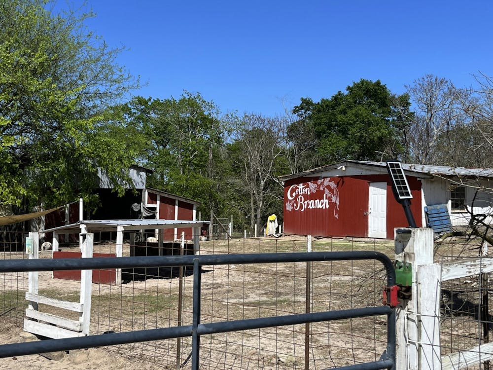 <p>A photograph of the Cotton Branch Farm Sanctuary in April 2023. This sanctuary is one of few places that provides a safe haven for pigs.</p>