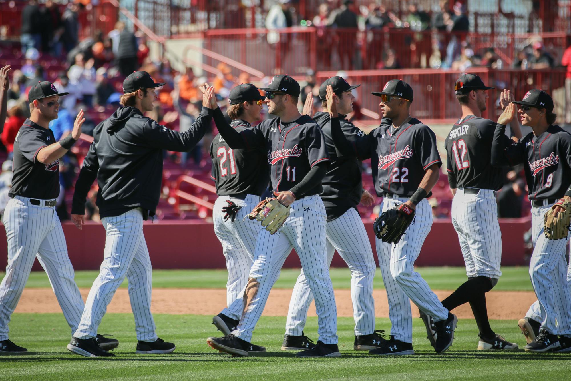 university of south carolina baseball uniforms Off 76%