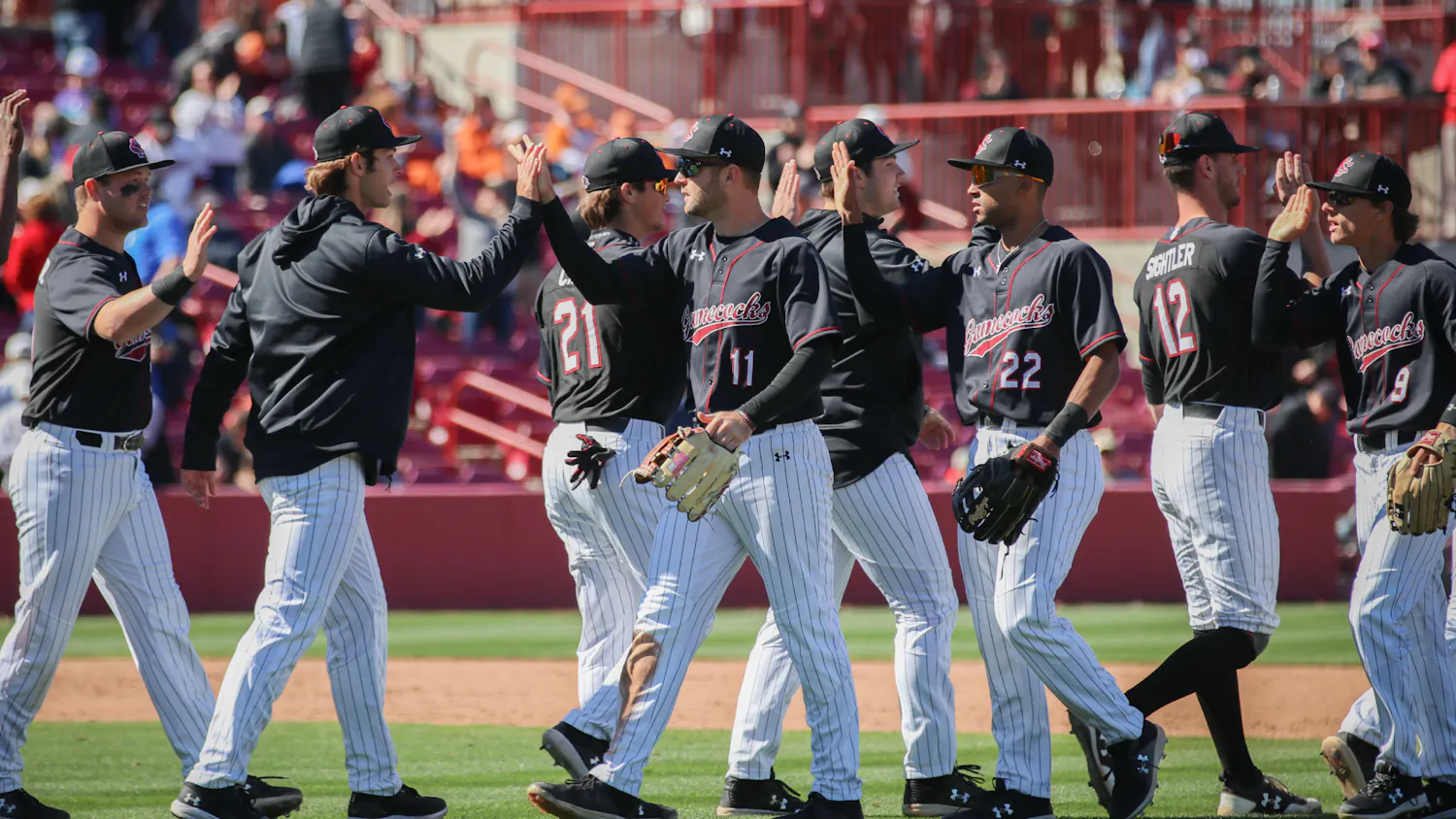The South Carolina baseball team celebrates a win after the first game of the day on March 13, 2022. The Gamecocks defeated Texas in a three-game series at Founders Park in Columbia, SC.