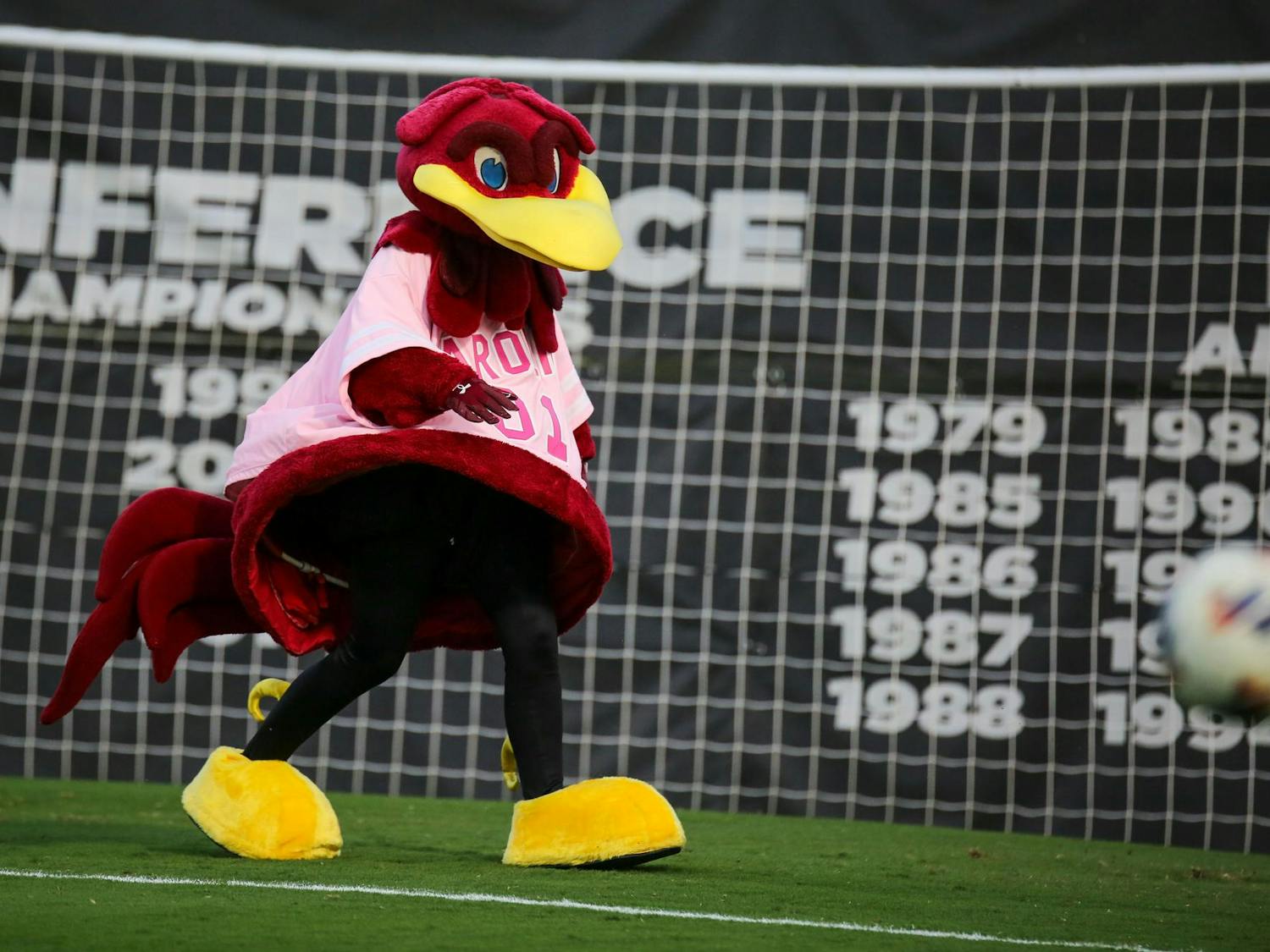 Cocky walks the field during warmups prior to South Carolina’s match against LSU at Stone Stadium on Oct. 5, 2023. The Gamecocks beat the Tigers 1-0.