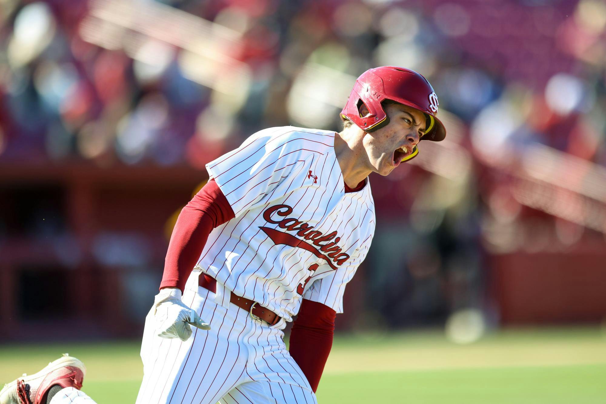 Junior infielder Patrick Evans celebrates after hitting a home run during the game against Northern Kentucky on Feb. 13, 2026. Evans contributed one run to the Gamecocks' 5-2 win over the Norse.