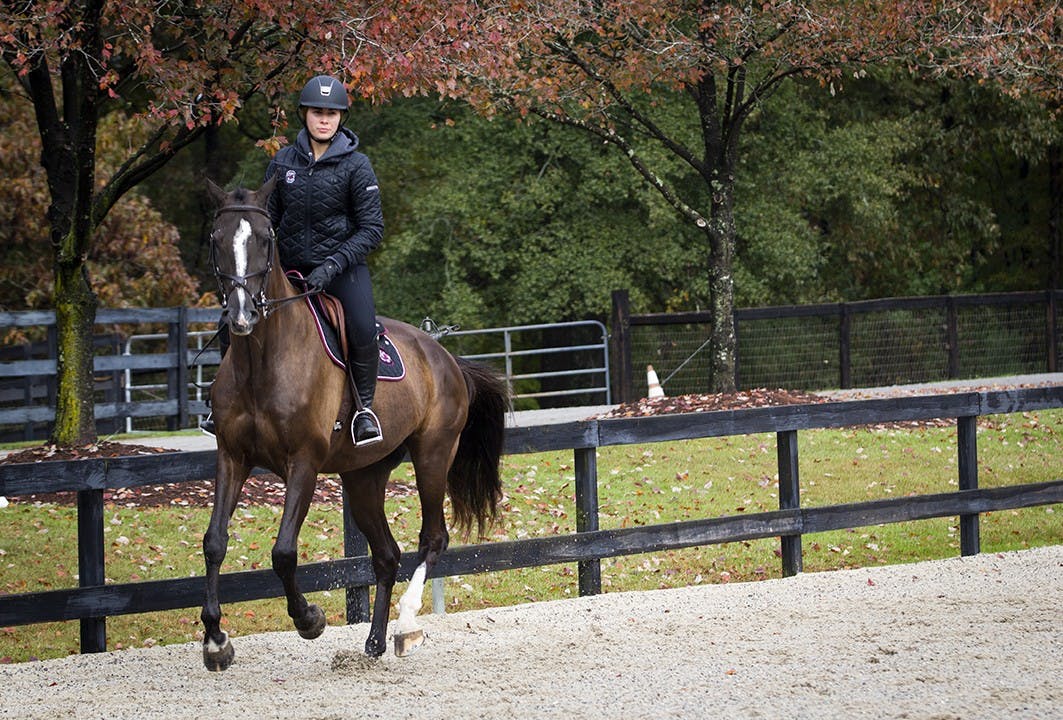 South Carolina junior Louisa Brackett warms up with her horse.