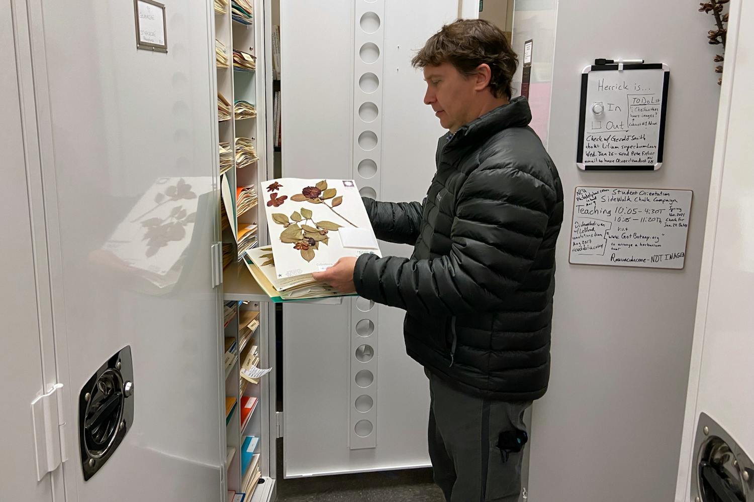Herrick Brown, curator of the University of South Carolina’s A.C. Moore Herbarium, holds one of 140,000 dried plant specimens. Brown graduated from 鶹С򽴫ý in 1996 with a degree in biology and has used this passion to pursue work in a variety of fields, including creating habitats for the animals at the Riverbanks Zoo in Columbia, SC.
