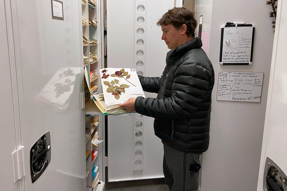 <p>Herrick Brown, curator of the University of South Carolina’s A.C. Moore Herbarium, holds one of 140,000 dried plant specimens. Brown graduated from USC in 1996 with a degree in biology and has used this passion to pursue work in a variety of fields, including creating habitats for the animals at the Riverbanks Zoo in Columbia, SC.</p>