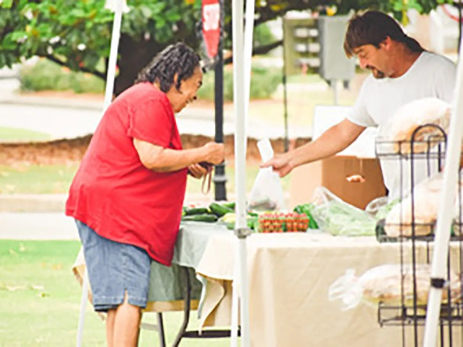 A customer looks at a booth while the vendor helps.