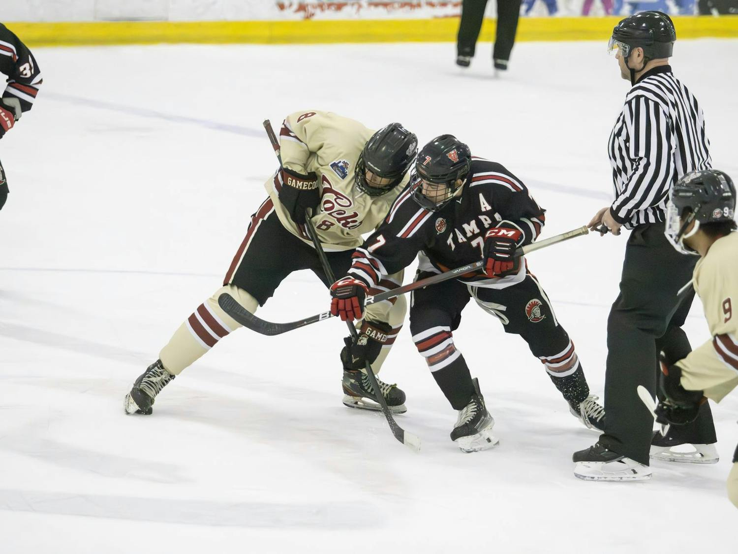 Gamecock junior center Jake Puskar battles a member of the University of Tampa team for the puck during the game on Nov. 3, 2024. Puskar is the team captain for South Carolina.
